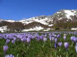 Campitello Matese